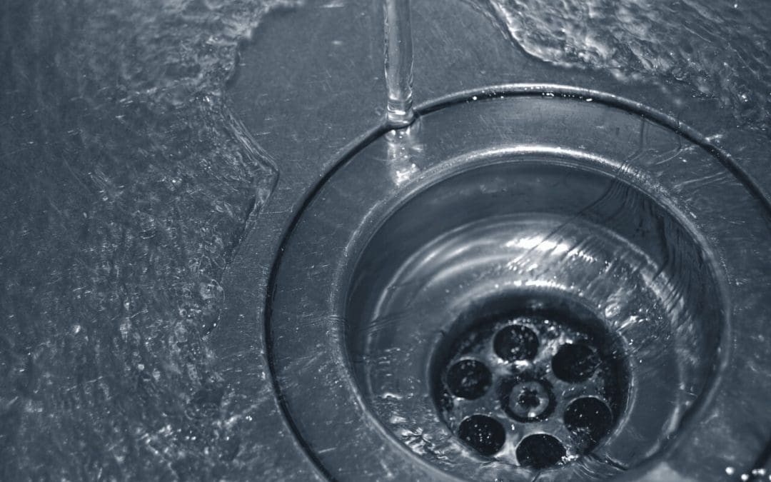 Plumbing Maintenance for Homeowners: What You Need to Know